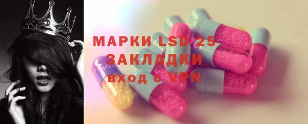 мяу мяу мука Арсеньев