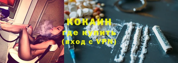 мяу мяу мука Арсеньев