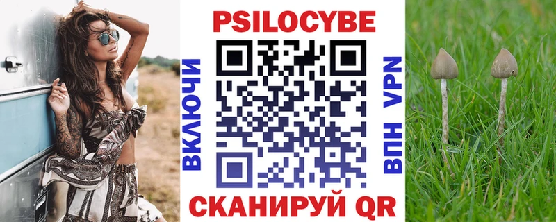 Псилоцибиновые грибы Cubensis  купить   Камешково 